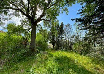 Foto 9 - Rustico Via Lauretana
 
snc, Fermo - foto 9