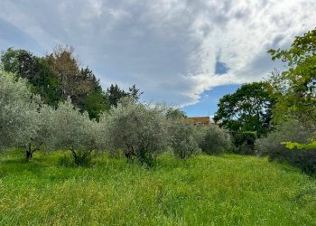 Foto 10 - Rustico Via Lauretana
 
snc, Fermo - foto 10