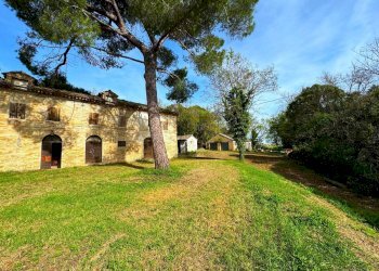 Foto 3 - Rustico Via Mostrapiedi
 
snc, Sant'Elpidio a Mare - foto 3