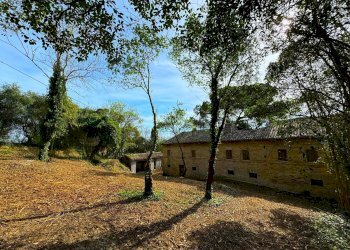 Foto 4 - Rustico Via Mostrapiedi
 
snc, Sant'Elpidio a Mare - foto 4