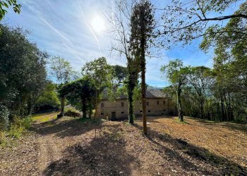 Foto 5 - Rustico Via Mostrapiedi
 
snc, Sant'Elpidio a Mare - foto 5