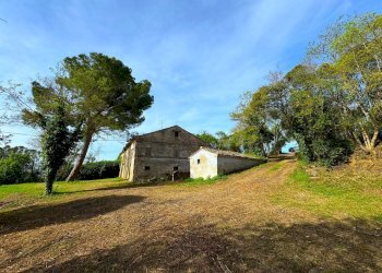 Foto 6 - Rustico Via Mostrapiedi
 
snc, Sant'Elpidio a Mare - foto 6