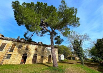 Foto 7 - Rustico Via Mostrapiedi
 
snc, Sant'Elpidio a Mare - foto 7