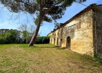 Foto 8 - Rustico Via Mostrapiedi
 
snc, Sant'Elpidio a Mare - foto 8