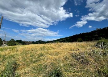 Foto 10 - Rustic Contrada Campodonico
 
snc, Monte Giberto - photo 10