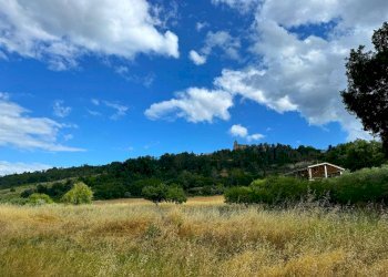 Foto 11 - Rustic Contrada Campodonico
 
snc, Monte Giberto - photo 11