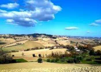 Foto 6 - Rustico Via Robert Baden Powell
 
snc, Montegranaro - foto 6