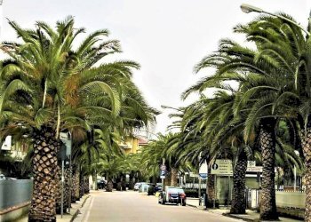 Foto 14 - Appartamento Via Francesco Petrarca
 
snc, Porto San Giorgio - foto 14