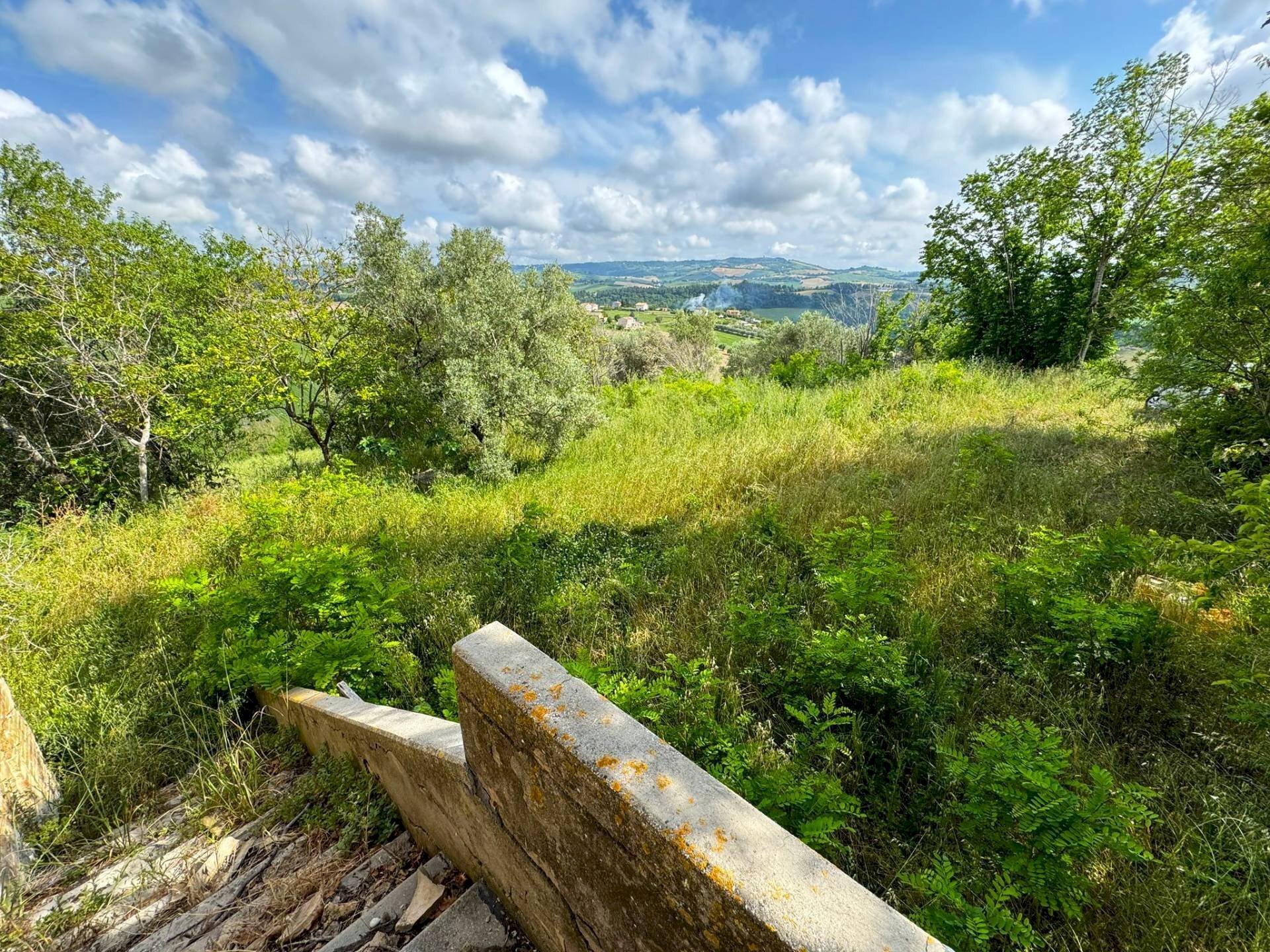 Foto 3 - Rustico Contrada Cecapalomba, Fermo - foto 3