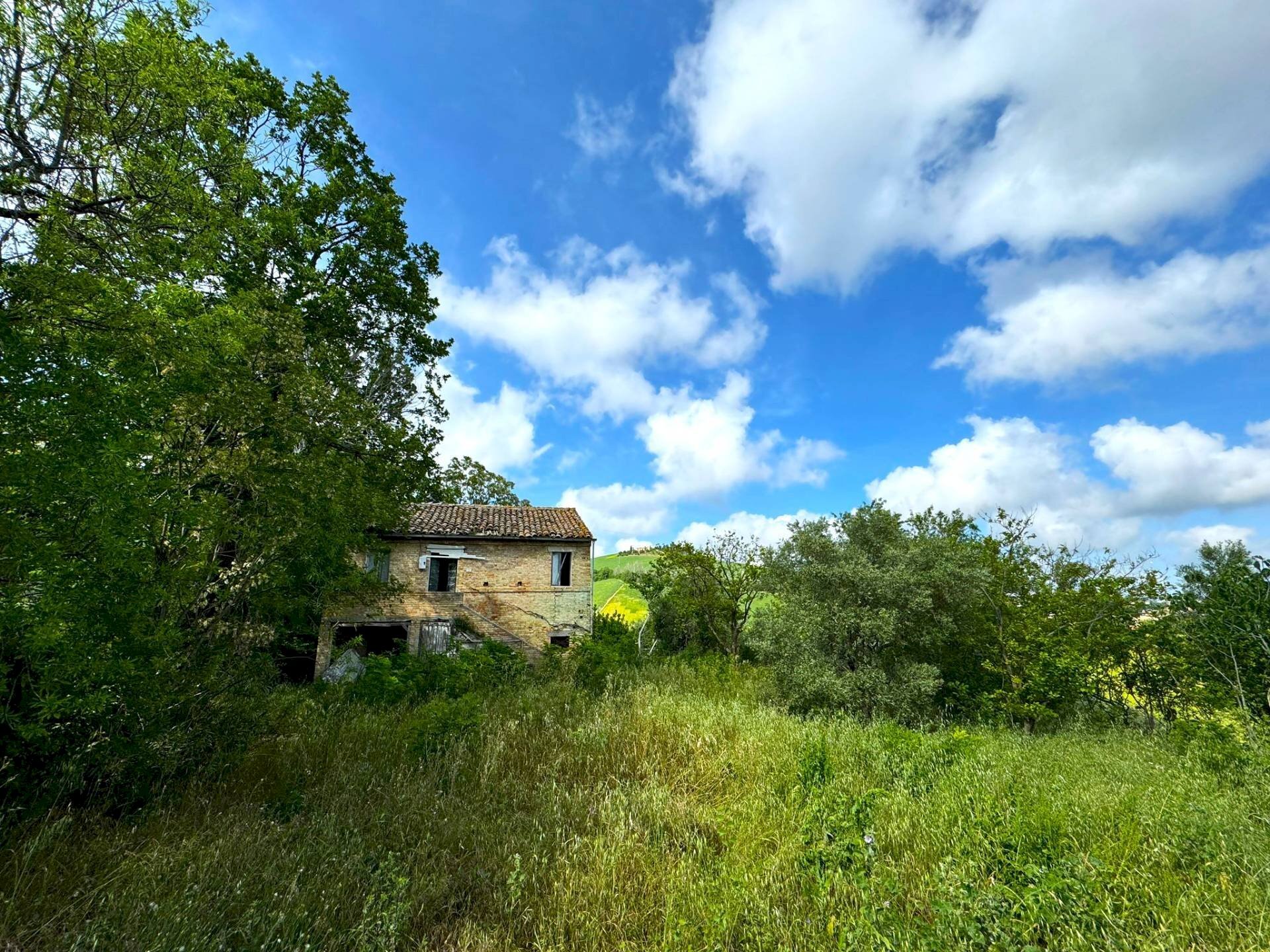 Foto 2 - Rustico Contrada Cecapalomba, Fermo - foto 2