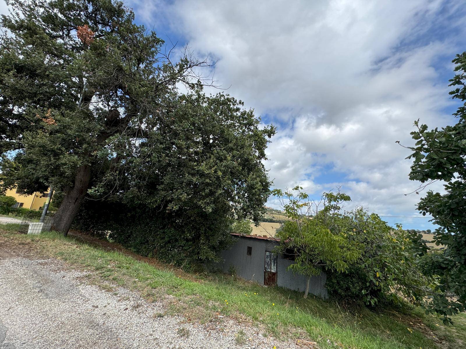 Foto 2 - Agricultural land Contrada Storno
 
snc, Fermo - photo 2