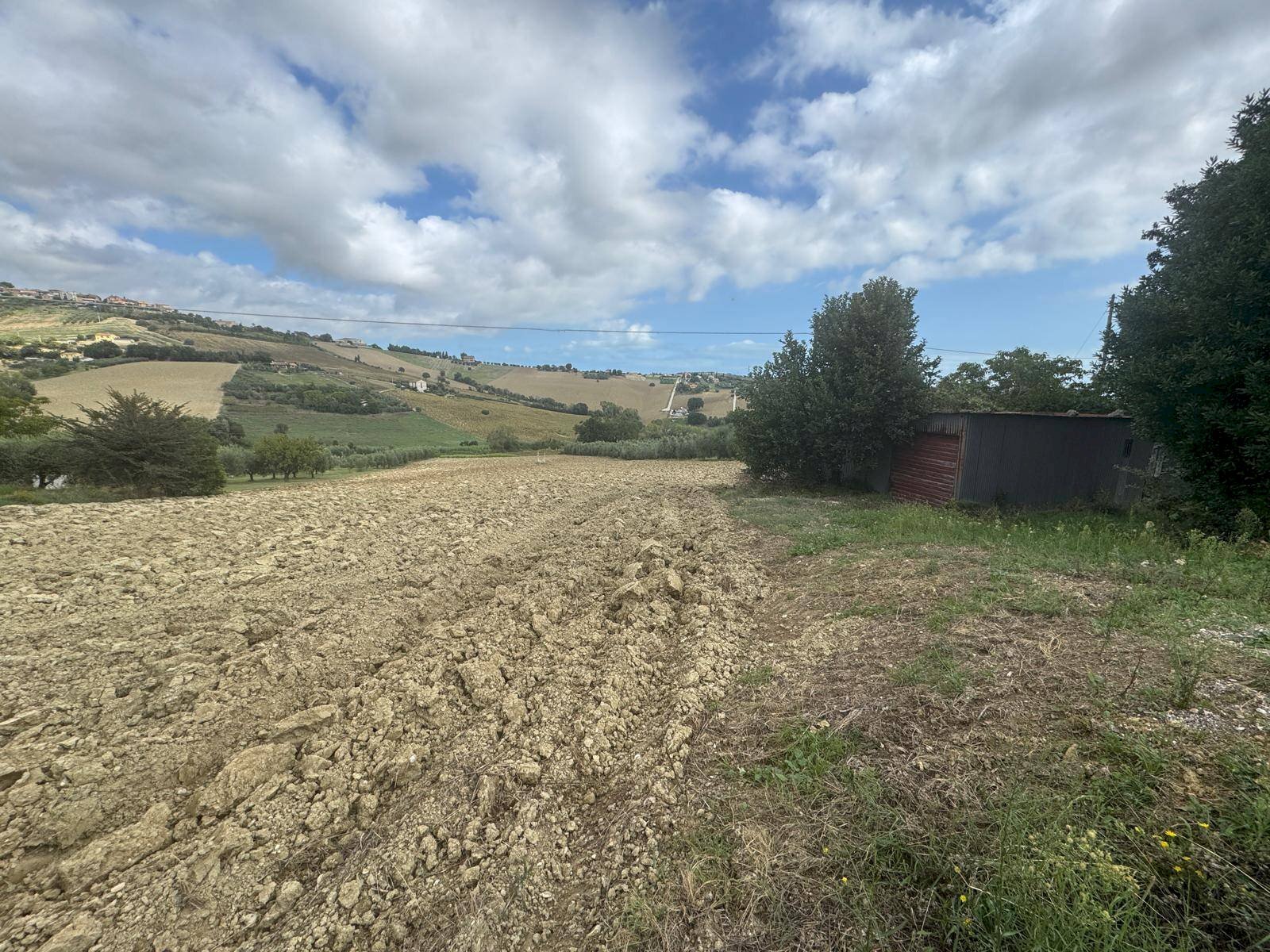 Foto 3 - Agricultural land Contrada Storno
 
snc, Fermo - photo 3