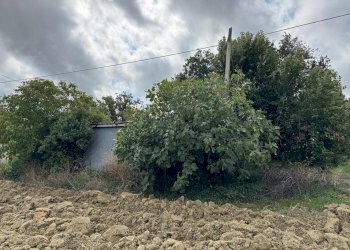 Foto 4 - Terreno agricolo Contrada Storno
 
snc, Fermo - foto 4