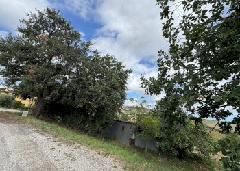 Foto 5 - Terreno agricolo Contrada Storno
 
snc, Fermo - foto 5