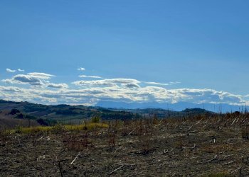 Foto 4 - Rustico snc, Fermo - foto 4