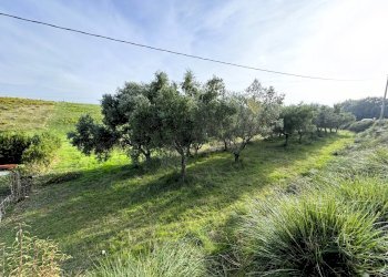 Foto 6 - Rustico Contrada Aso, Lapedona - foto 6