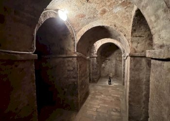 Foto 28 - Villa Via Volontari 1866
16, Montegranaro - foto 28