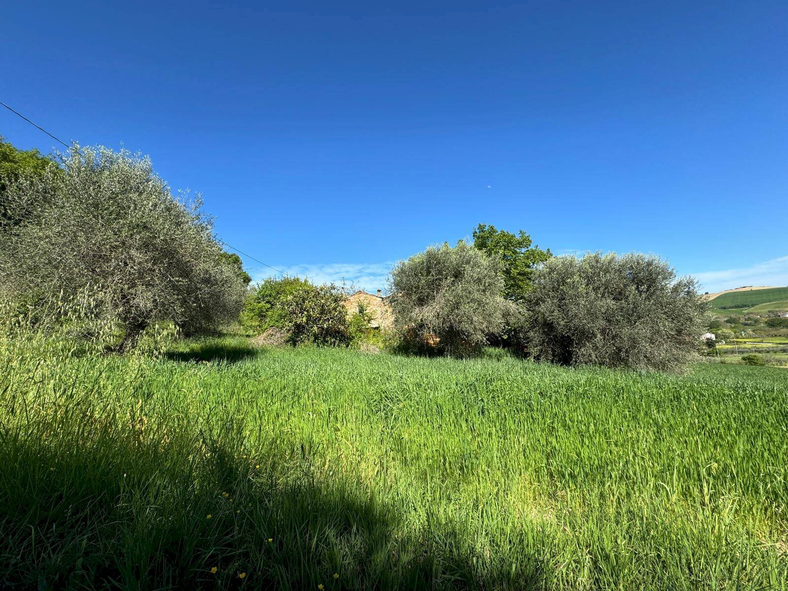 Foto 2 - Rustico Fermo - foto 2