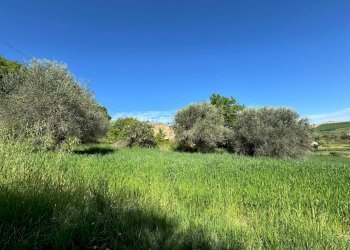 Foto 2 - Rustico Fermo - foto 2