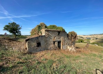 Foto 4 - Rustico Fermo - foto 4