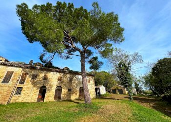 Foto 8 - Rustico Fermo - foto 8