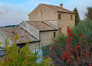 Foto 9 - Rustico Fermo - foto 9