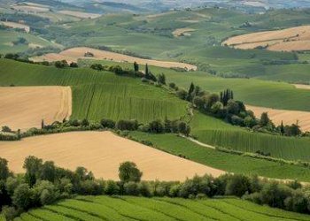 Foto 3 - Terreno agricolo Contrada San Giuseppe
snc, Monte San Pietrangeli - foto 3