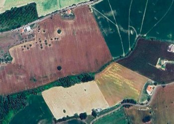 Foto 4 - Terreno agricolo Contrada San Giuseppe
snc, Monte San Pietrangeli - foto 4