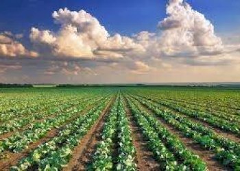 Foto 1 - Terreno agricolo Via San Marco
snc, Fermo - foto 1