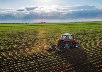 Foto 2 - Terreno agricolo Via San Marco
snc, Fermo - foto 2