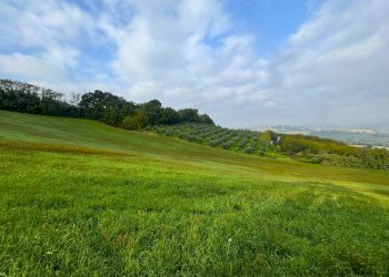 Foto 19 - Rustico Via San Pietro Martire
 
snc, Montottone - foto 19