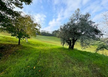 Foto 21 - Rustico Via San Pietro Martire
 
snc, Montottone - foto 21