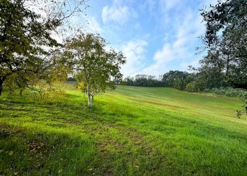 Foto 22 - Rustico Via San Pietro Martire
 
snc, Montottone - foto 22