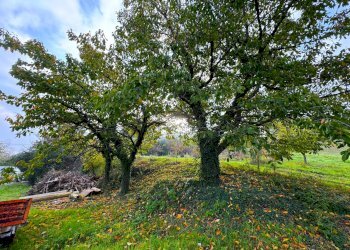 Foto 23 - Rustico Via San Pietro Martire
 
snc, Montottone - foto 23