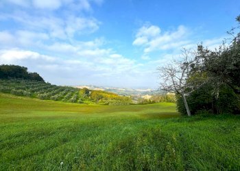 Foto 29 - Rustico Via San Pietro Martire
 
snc, Montottone - foto 29