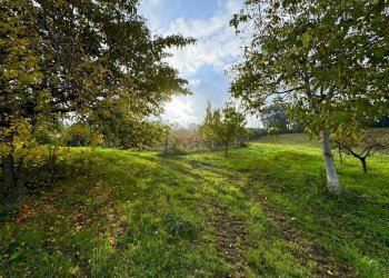 Foto 30 - Rustico Via San Pietro Martire
 
snc, Montottone - foto 30