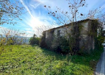 Foto 3 - Rustico Montegranaro - foto 3