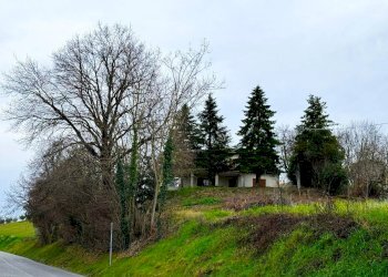 Foto 23 - Rustico Via Montottonese sud
 
snc, Montottone - foto 23