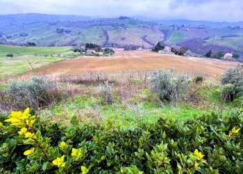 Foto 27 - Rustico Contrada Paterno
 
46, Tolentino - foto 27