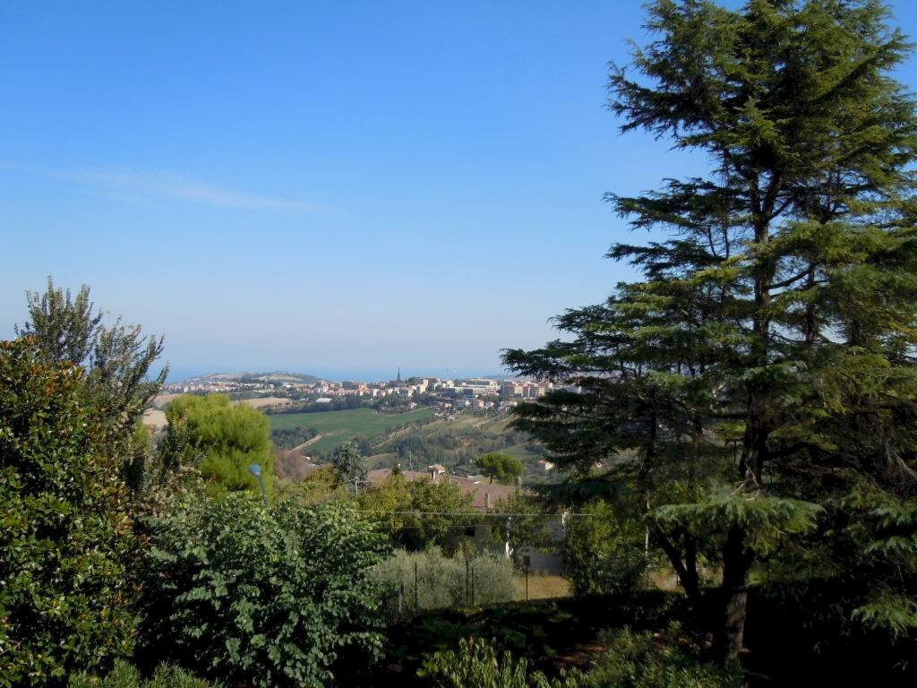 Foto 3 - Terreno edificabile viale Tiro a Segno
 
snc, Fermo - foto 3