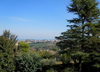 Foto 3 - Terreno edificabile viale Tiro a Segno
snc, Fermo - foto 3