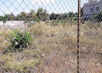 Foto 1 - Terreno agricolo Serra Perdosa, Quartu Sant'Elena - foto 1