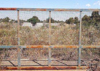 Foto 2 - Terreno agricolo Serra Perdosa, Quartu Sant'Elena - foto 2