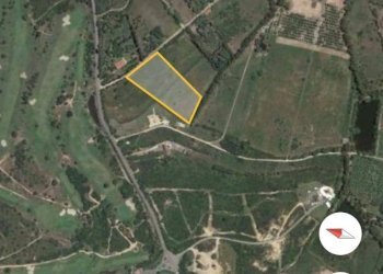 Foto 2 - Terreno agricolo Is Molas, Pula - foto 2