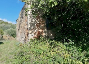 Foto 3 - Terreno edificabile Via Umberto I, Sardara - foto 3