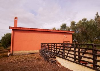 Foto 3 - Terreno agricolo località Sirigraxiu, Maracalagonis - foto 3