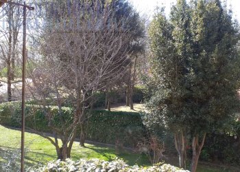 Foto 6 - Rustico via Tempia, Cavaglià - foto 6