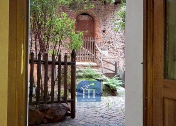 Foto 2 - Attività Commerciale Corso Alfieri, Sostegno - foto 2