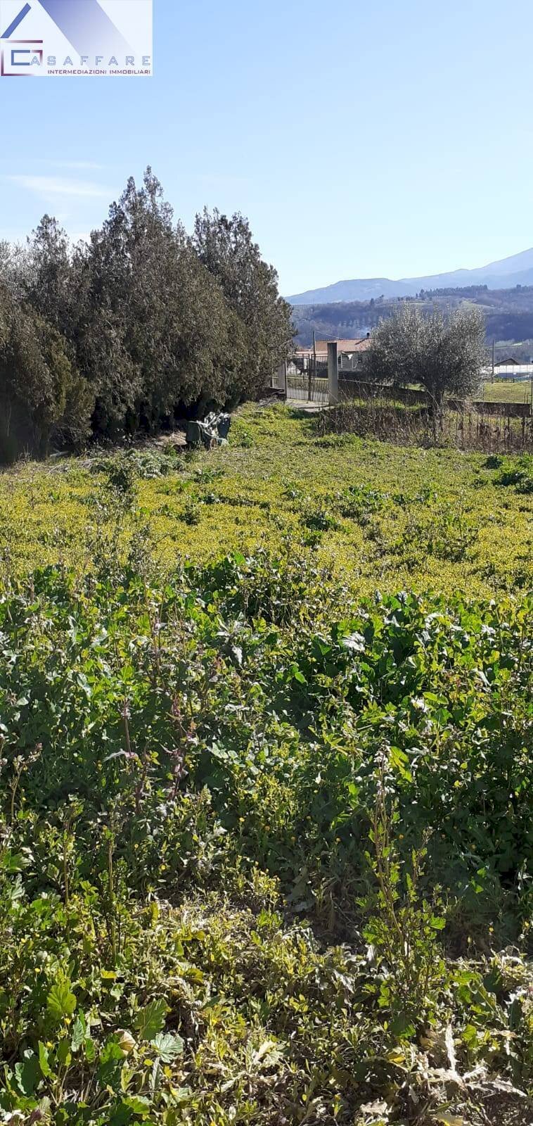 Foto 3 - Terreno edificabile s.n, Rosciano - foto 3