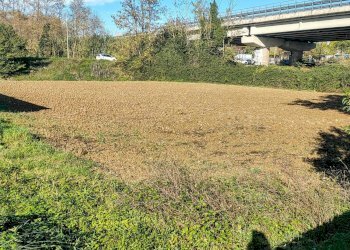 Foto 4 - Terreno edificabile s.n., Spoltore - foto 4